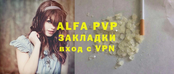 стафф Алзамай