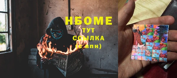 стафф Алзамай