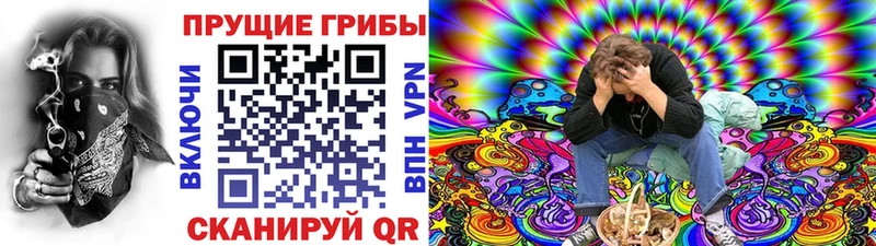 Галлюциногенные грибы MAGIC MUSHROOMS  купить наркотики сайты  Мензелинск 